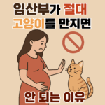 임산부가 길고양이를 피하는 모습