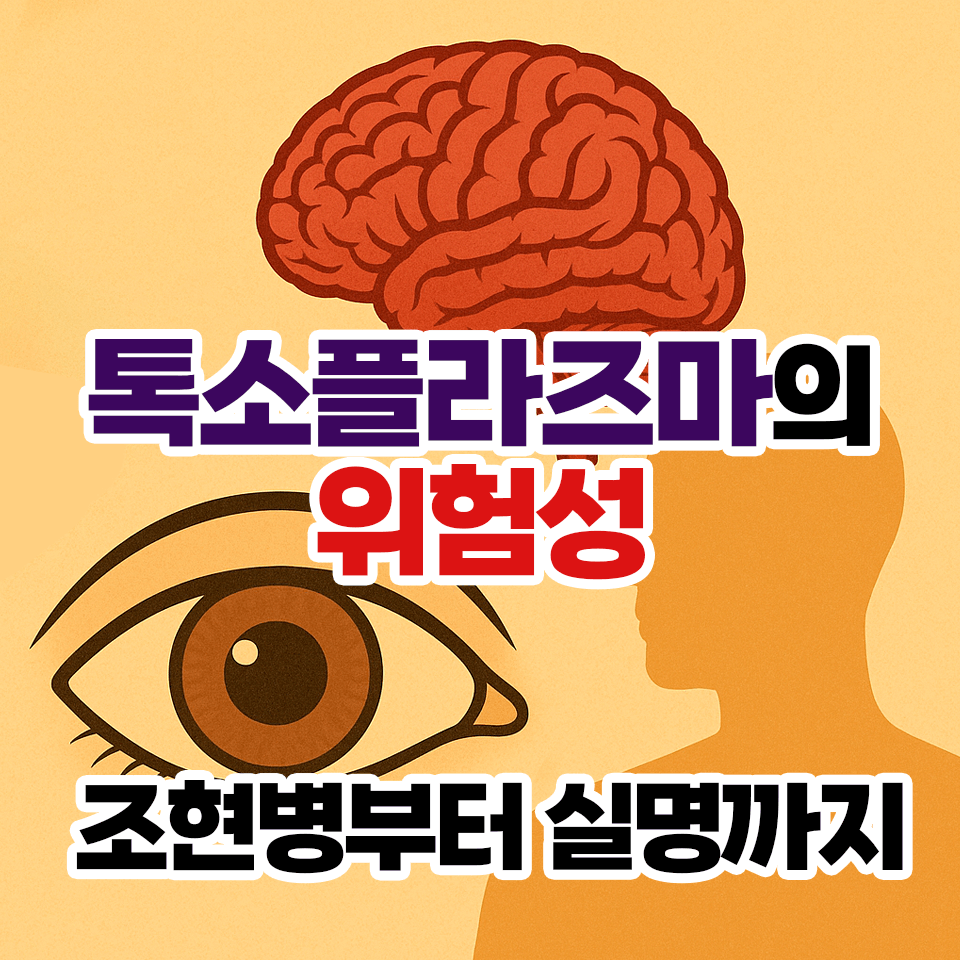 톡소플라즈마의 위험성 섬네일